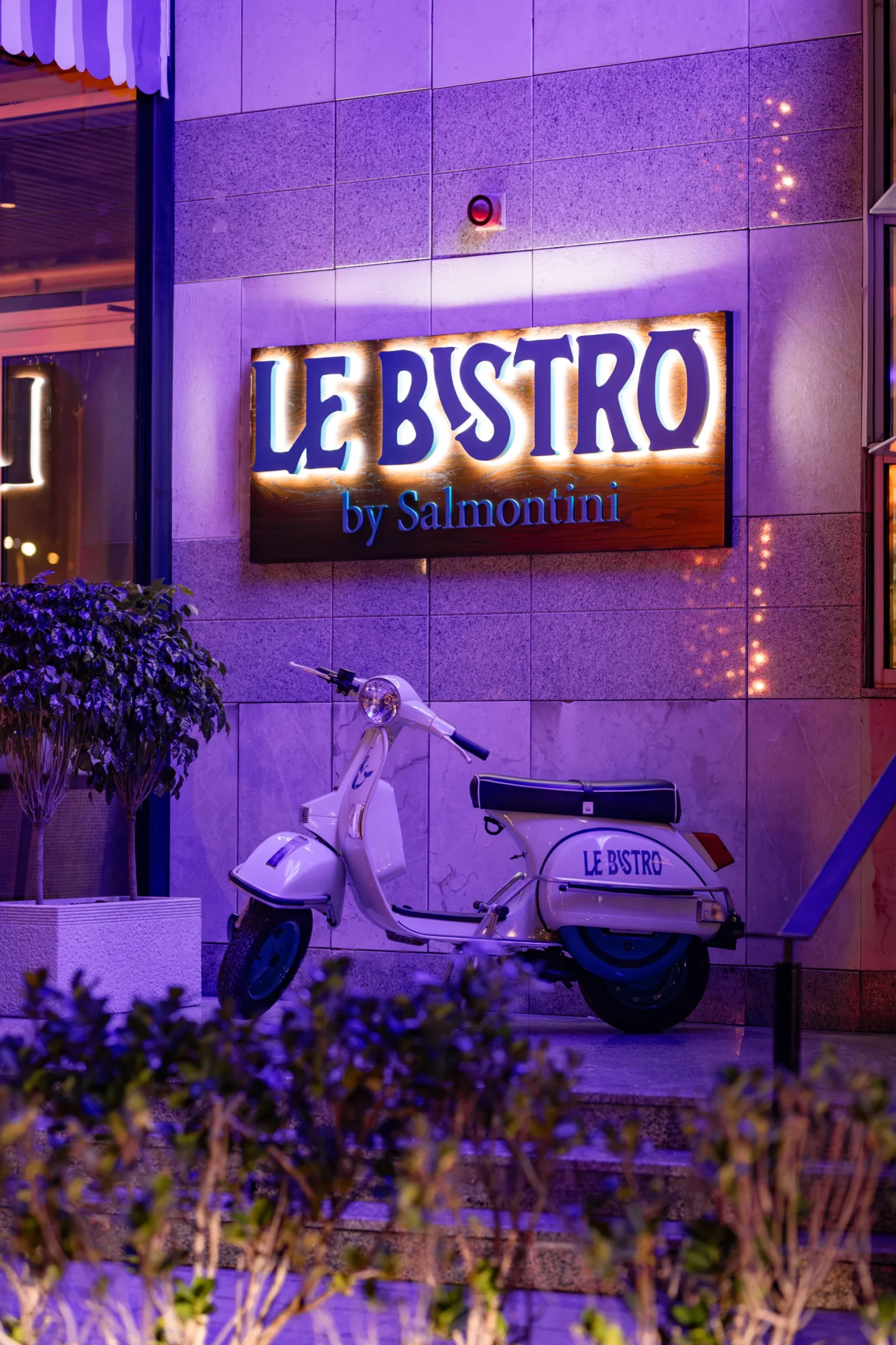 salmontini-le-bistro-02